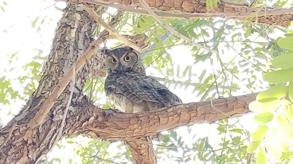 Deer Valley Park | 3665 E Deer Valley Dr, Phoenix, AZ 85050, USA Deer Valley Park | 3665 E Deer Valley Dr, Phoenix, AZ 85050, USA