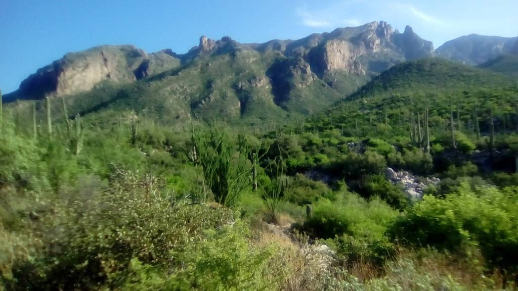 Richard McKee Finger Rock Trailhead | 7119 N Alvernon Way, Tucson, AZ 85718, USA | Phone: (520) 724-2263