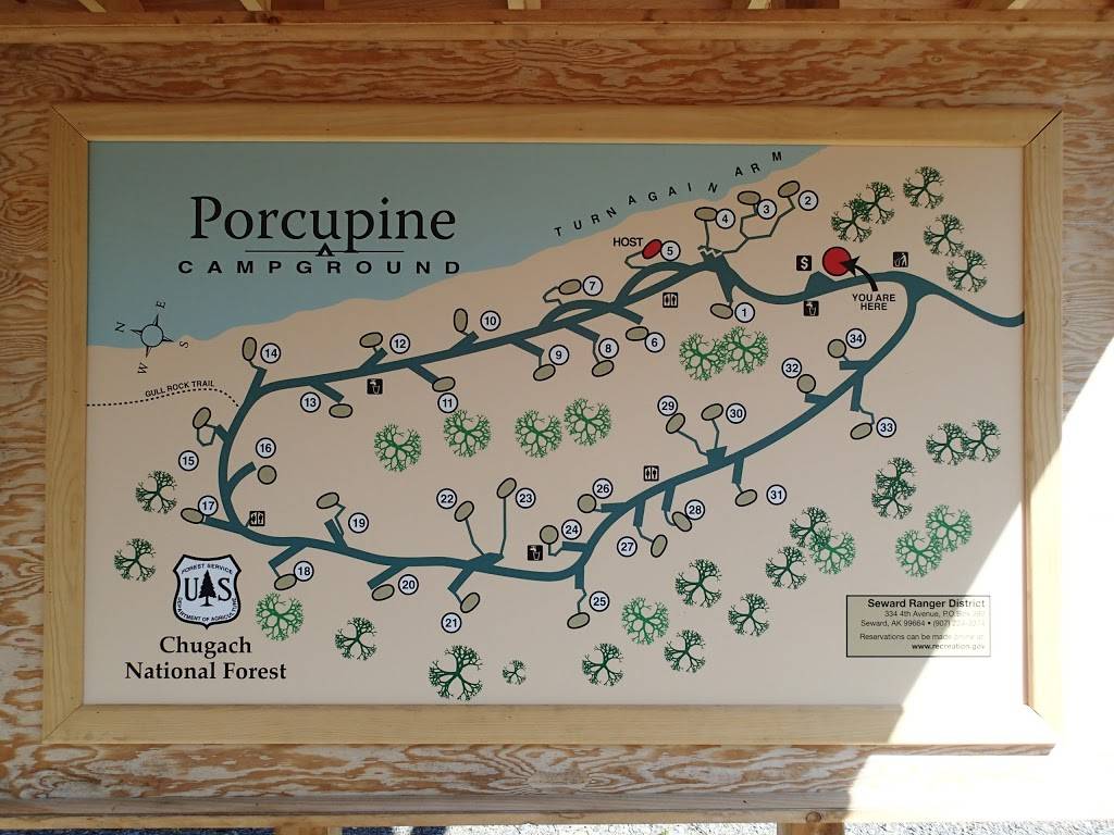 Porcupine Campground | Hope Hwy, Hope, AK 99605, USA | Phone: (907) 224-3374