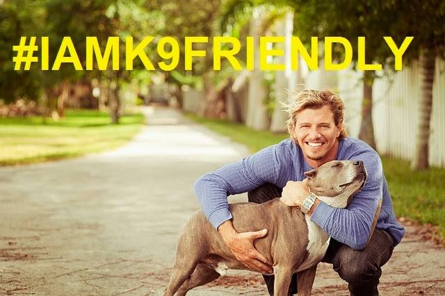 K-9 Friendly Insurance | 4721, 2335 S Lindsay Rd #101, Gilbert, AZ 85295, USA | Phone: (480) 900-8010