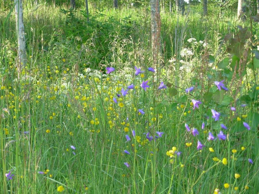 Integrative Mind Body Therapy | 7810 Pineville-Matthews Rd #7, Charlotte, NC 28226, USA | Phone: (704) 771-6251 Integrative Mind Body Therapy | 7810 Pineville-Matthews Rd #7, Charlotte, NC 28226, USA | Phone: (704) 771-6251