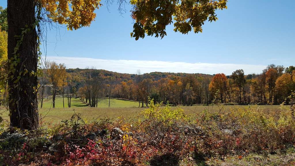 Gurski Farm Open Space | Brookfield, CT 06804, USA