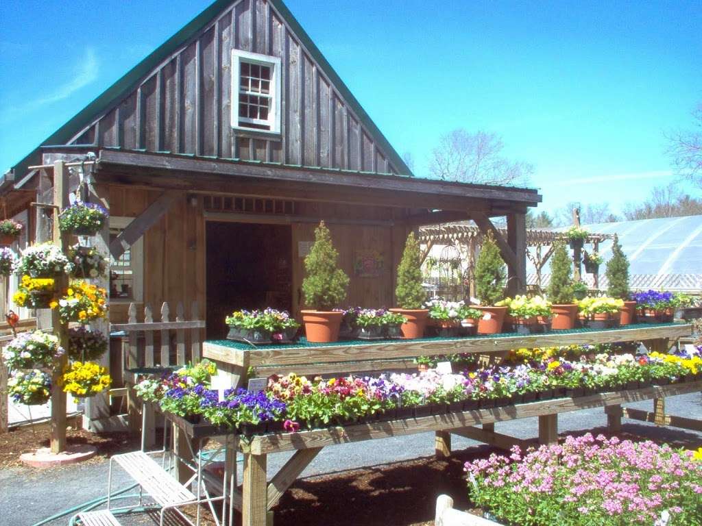 Crystal Lake Garden Shop | 19 West St, Carver, MA 02330 | Phone: (508) 866-2873