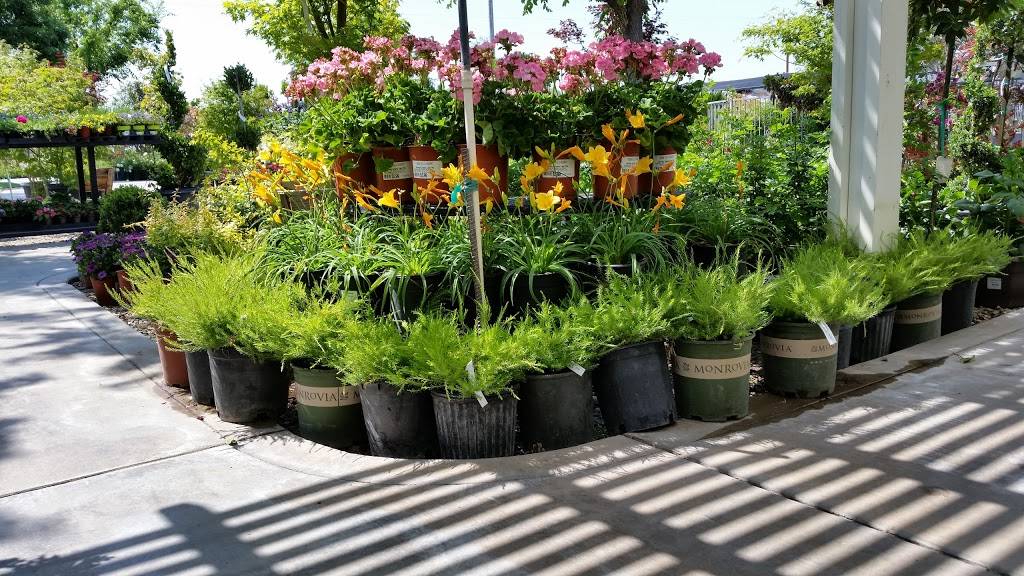 Green Hills Nursery | 2408 N Armstrong Ave, Fresno, CA 93727, USA | Phone: (559) 291-8733