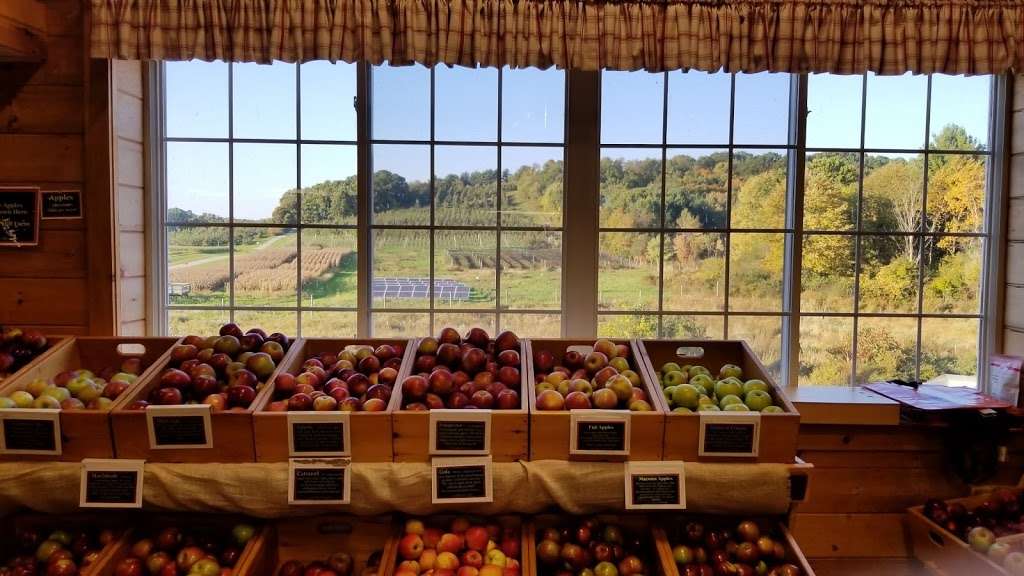 Cider Hill Farm | 45 Fern Ave, Amesbury, MA 01913, USA | Phone: (978) 388-5525