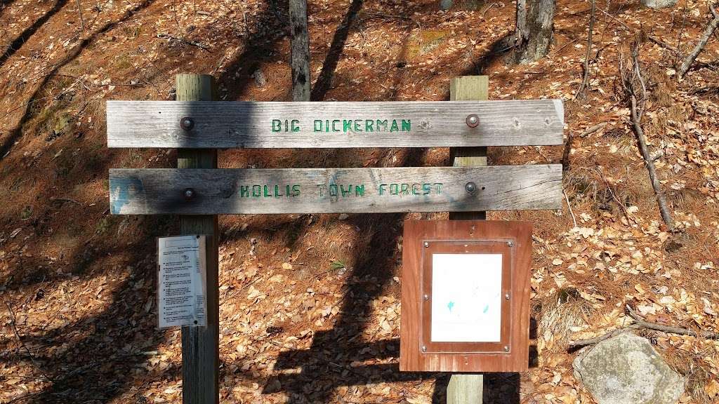 Big Dickerman Town Forest | Hollis, NH 03049, USA