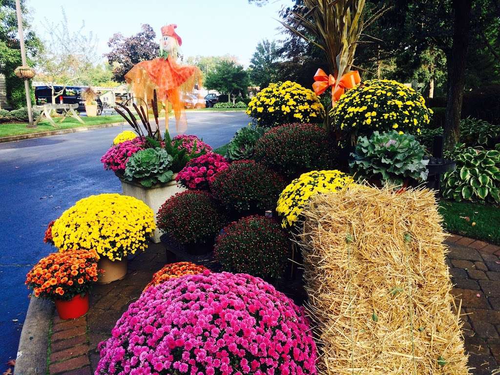 Bayview Garden Nurseries | 2711 Zion Rd, Northfield, NJ 08225, USA | Phone: (609) 641-0648