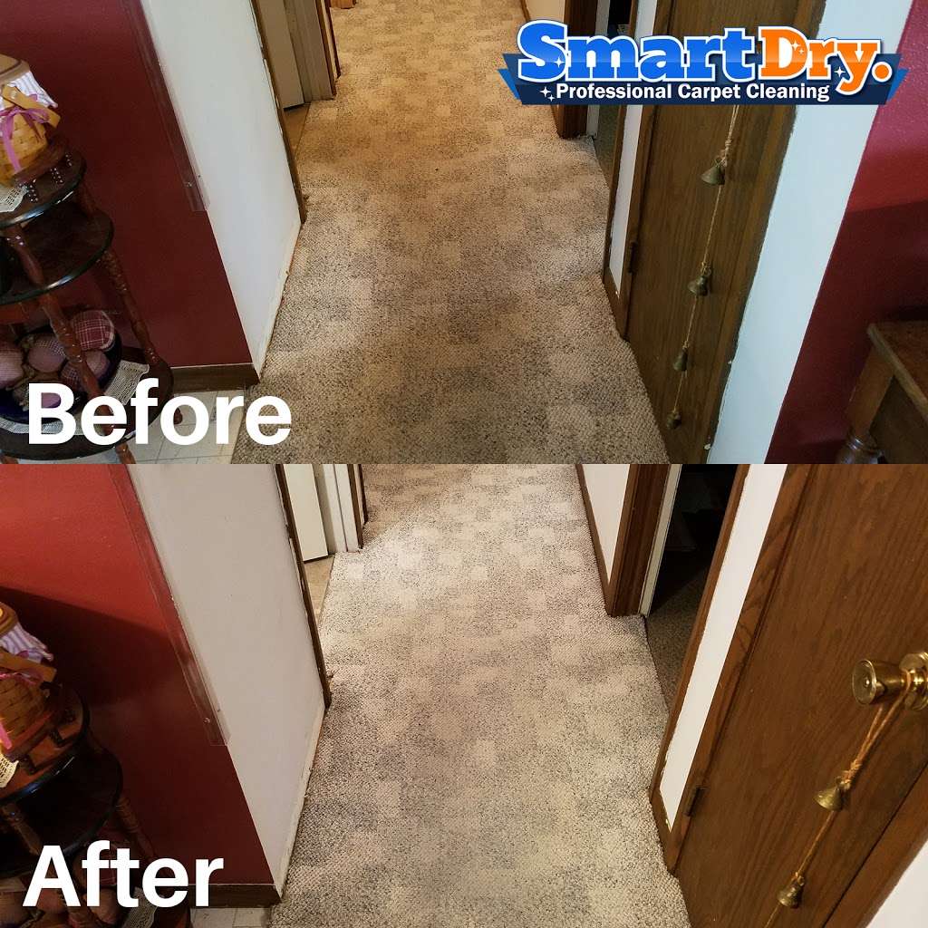 Smart Dry Carpet Cleaning Del Mar | 2775 Via De La Valle #200, Del Mar, CA 92014, USA | Phone: (858) 213-0007