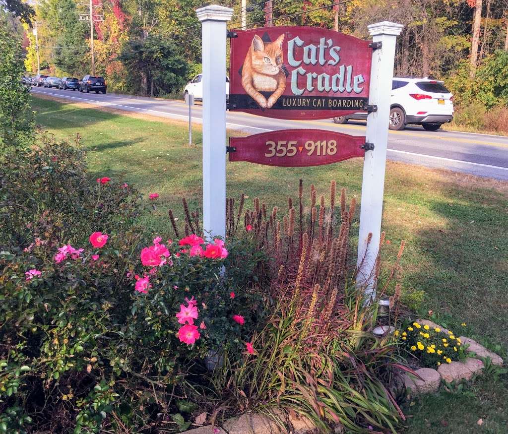 The Cat’s Cradle Inc. | 2426 US-6, Slate Hill, NY 10973 | Phone: (845) 355-9118