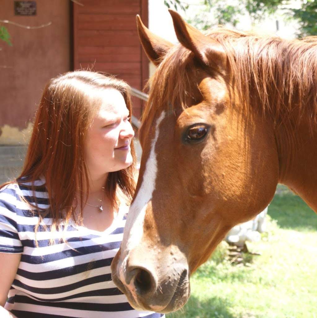 Animal Assisted Therapy Programs of Colorado | 7275 Kipling St, Arvada, CO 80005 | Phone: (720) 266-4444