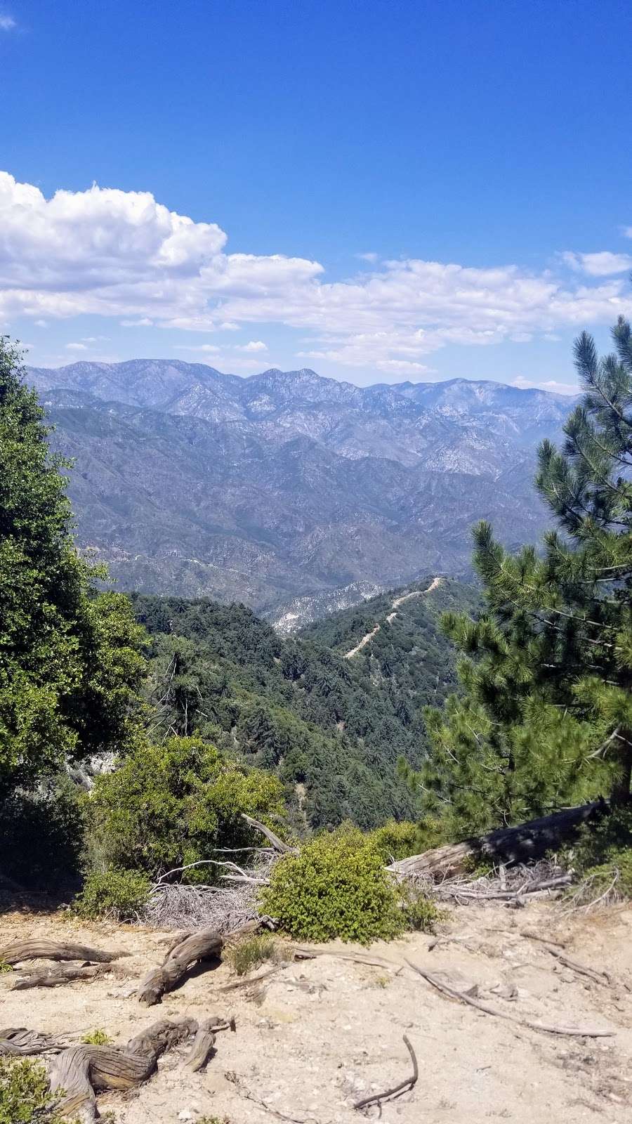 Rim Trailhead | Rim Trail, Mt Wilson, CA