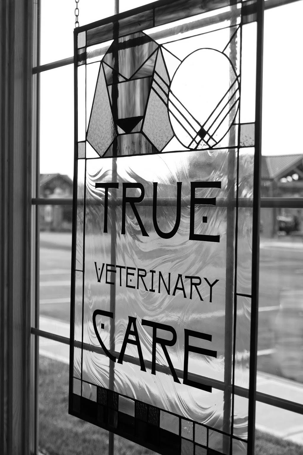 True Veterinary Care | 901 Kimball Ln #1500, Verona, WI 53593, USA | Phone: (608) 497-1608
