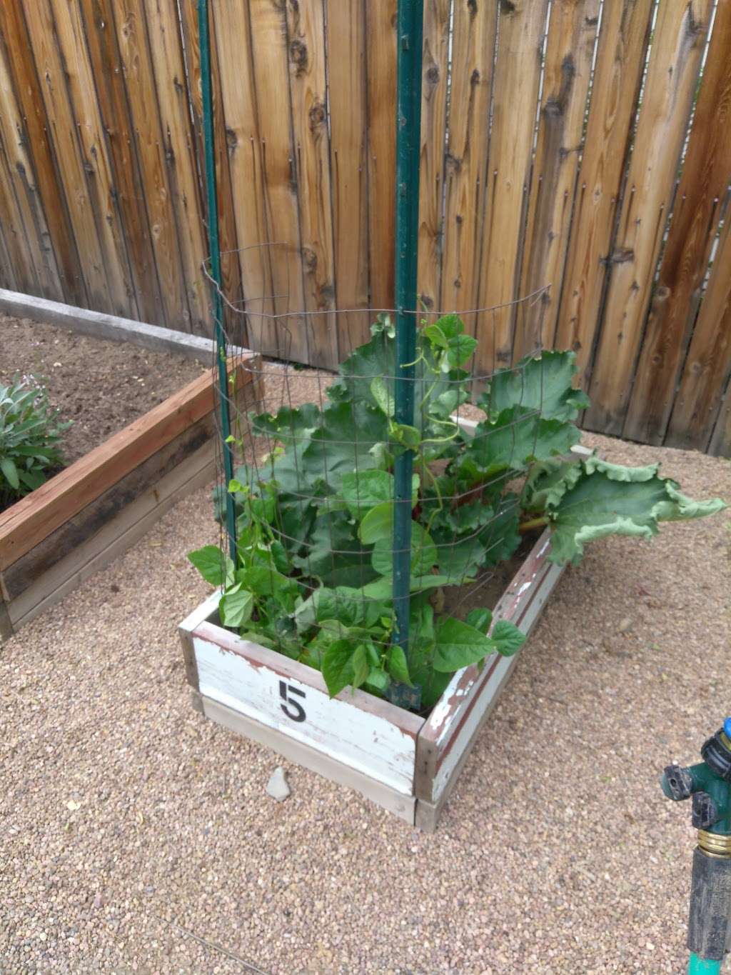 Fort Lupton Communtiy Garden | 438 Harrison Ave, Fort Lupton, CO 80621, USA | Phone: (720) 227-5521