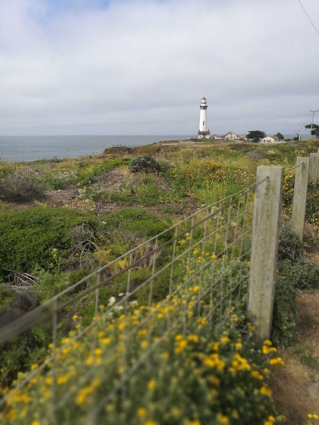 Lighthouse Ranch Open Space | Pigeon Point Rd, Pescadero, CA 94060, USA | Phone: (650) 854-7696