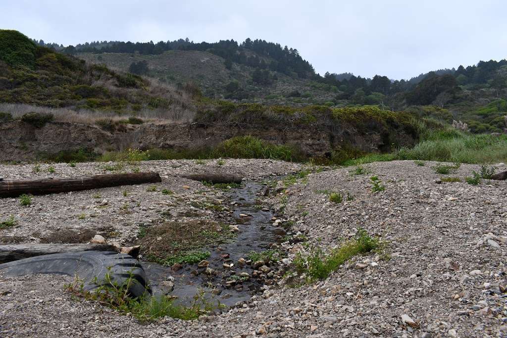 Wildcat Campground | Coast Trail, Bolinas, CA 94924, USA | Phone: (415) 464-5137