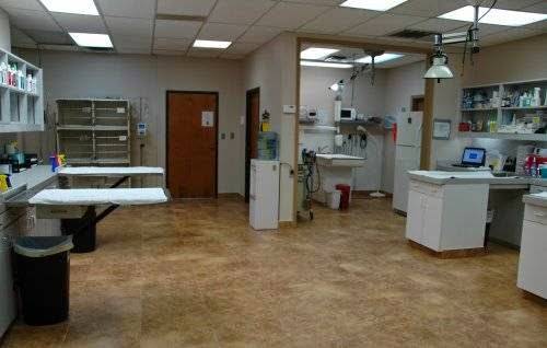 Cornerstone Animal Clinic - Dr. Ben Morse | 11909 Preston Rd Suite 1456, Dallas, TX 75230, USA | Phone: (972) 385-3555