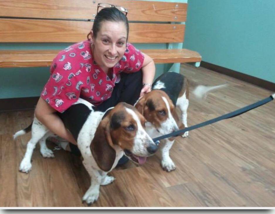 Groveport Canal Animal Hospital | 649 Main St, Groveport, OH 43125, USA | Phone: (614) 836-3222