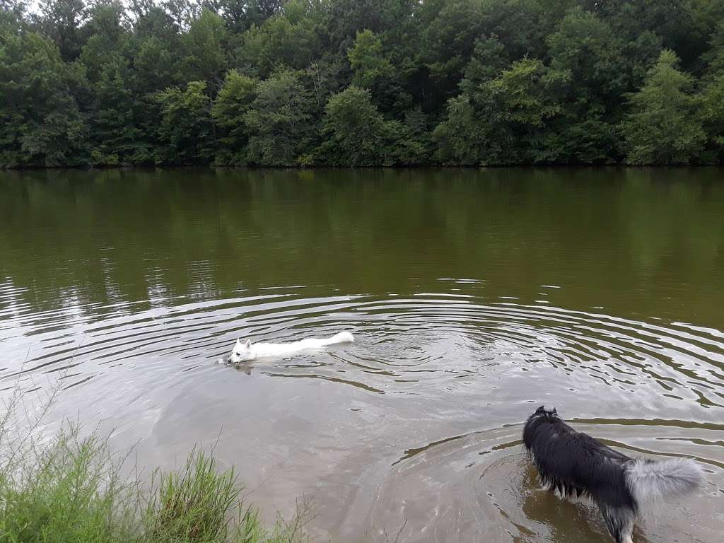 are dogs allowed at lums pond