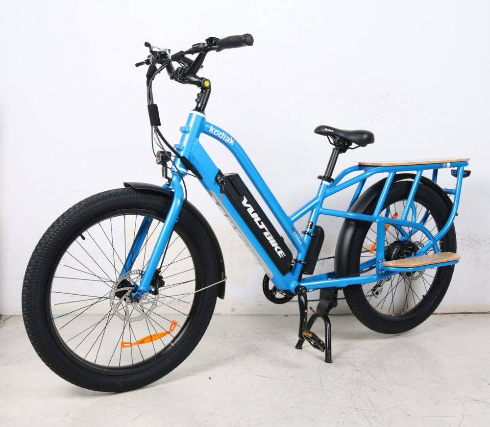 Windsor Electric Bicycles | 5950 North Service Rd E, Windsor, ON N8T 3P3, Canada | Phone: (519) 969-8139