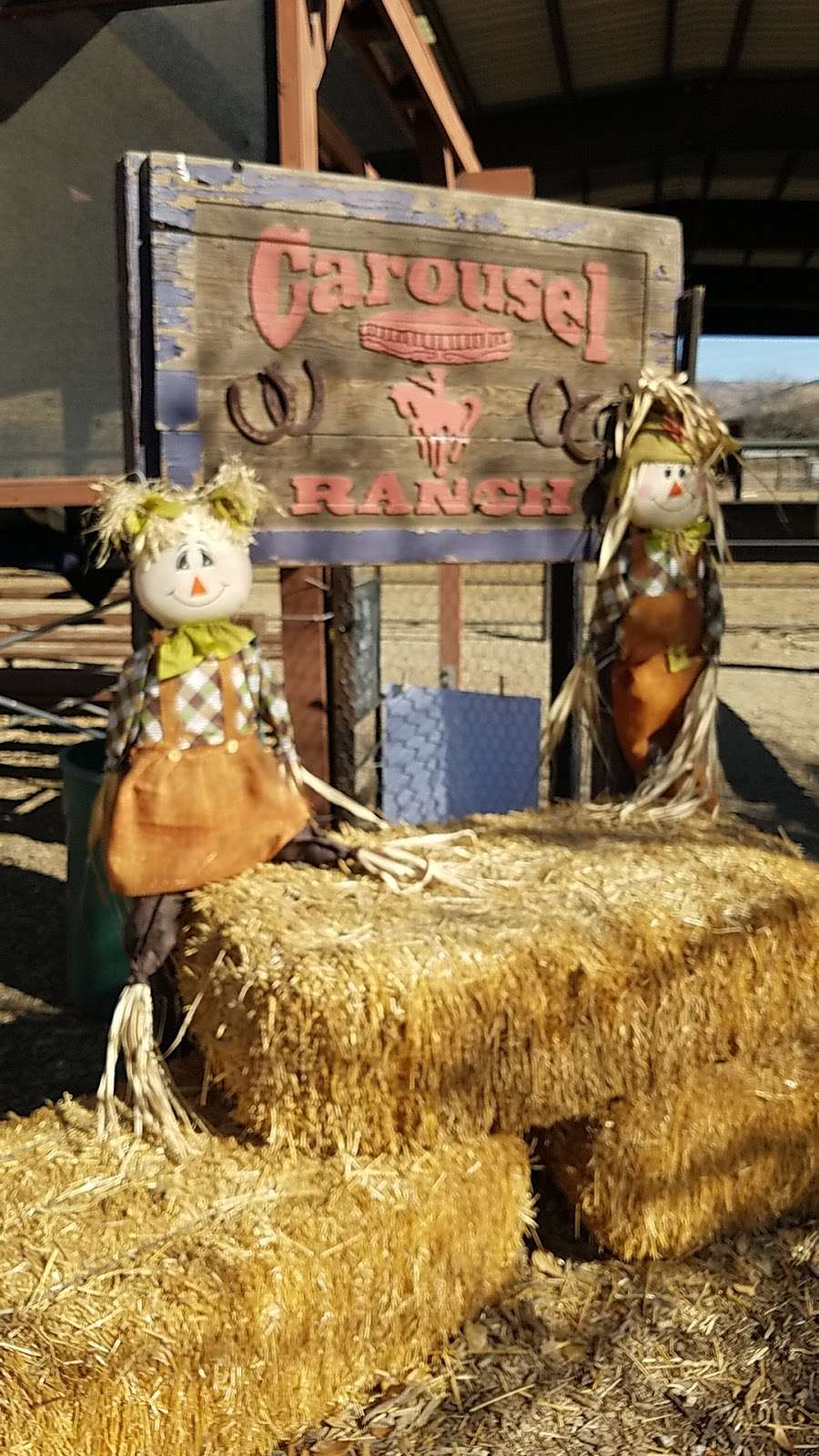 Carousel Ranch | 34289 Rocking Horse Rd, Santa Clarita, CA 91390, USA | Phone: (661) 268-8010