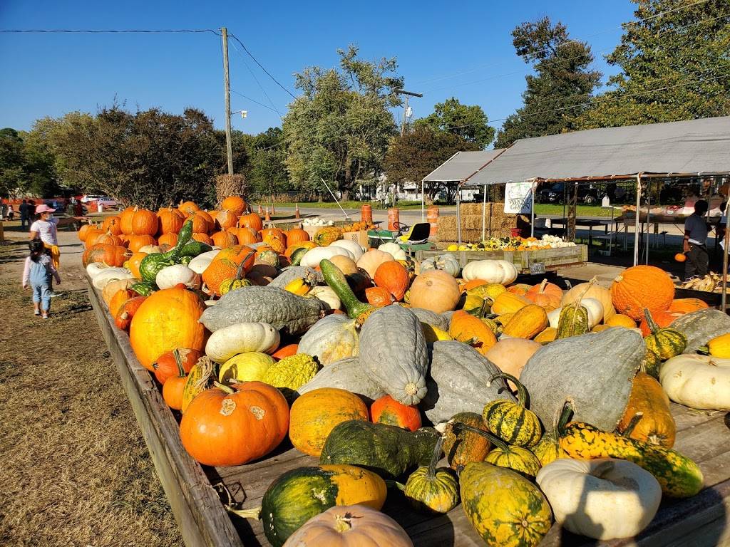 Gallmeyer Farms The Pumpkin Patch | 4506 Millers Ln, Richmond, VA 23231, USA | Phone: (804) 795-9979