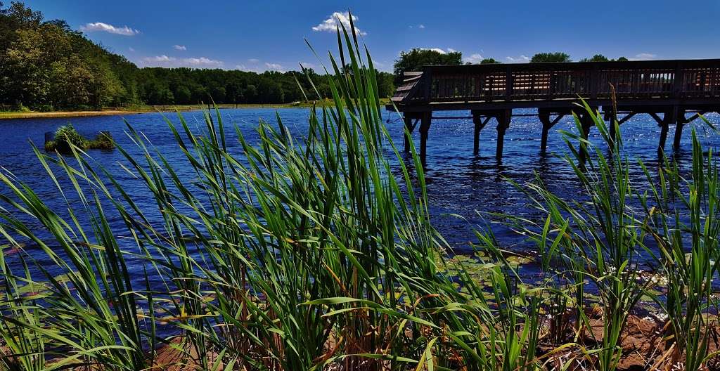 Cash Lake Fishing Area | Cash Lake Fishing Area, Bowie, MD 20720, USA