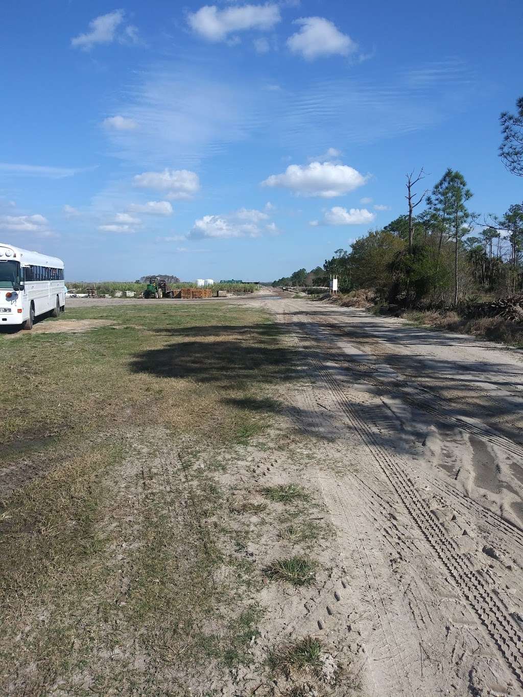 Loxahatchee River Natural Area | 2500 Jupiter Park Dr, Jupiter, FL 33478, USA | Phone: (561) 747-5700