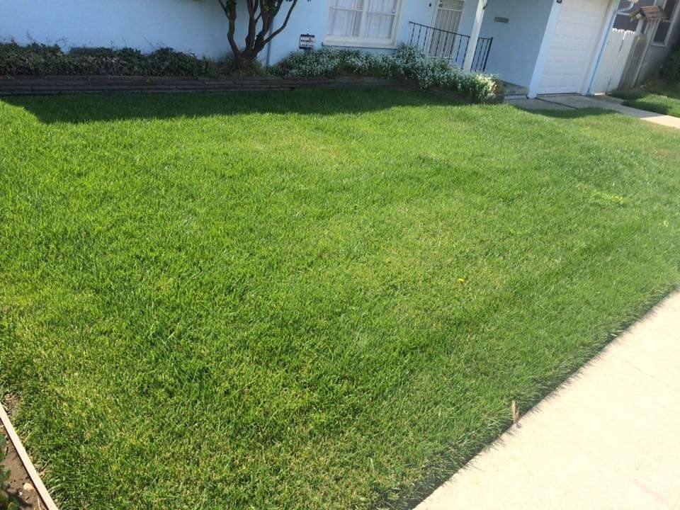 1st Choice Fertilizer, Inc | 1515 Aurora Dr, San Leandro, CA 94577 | Phone: (800) 504-5699