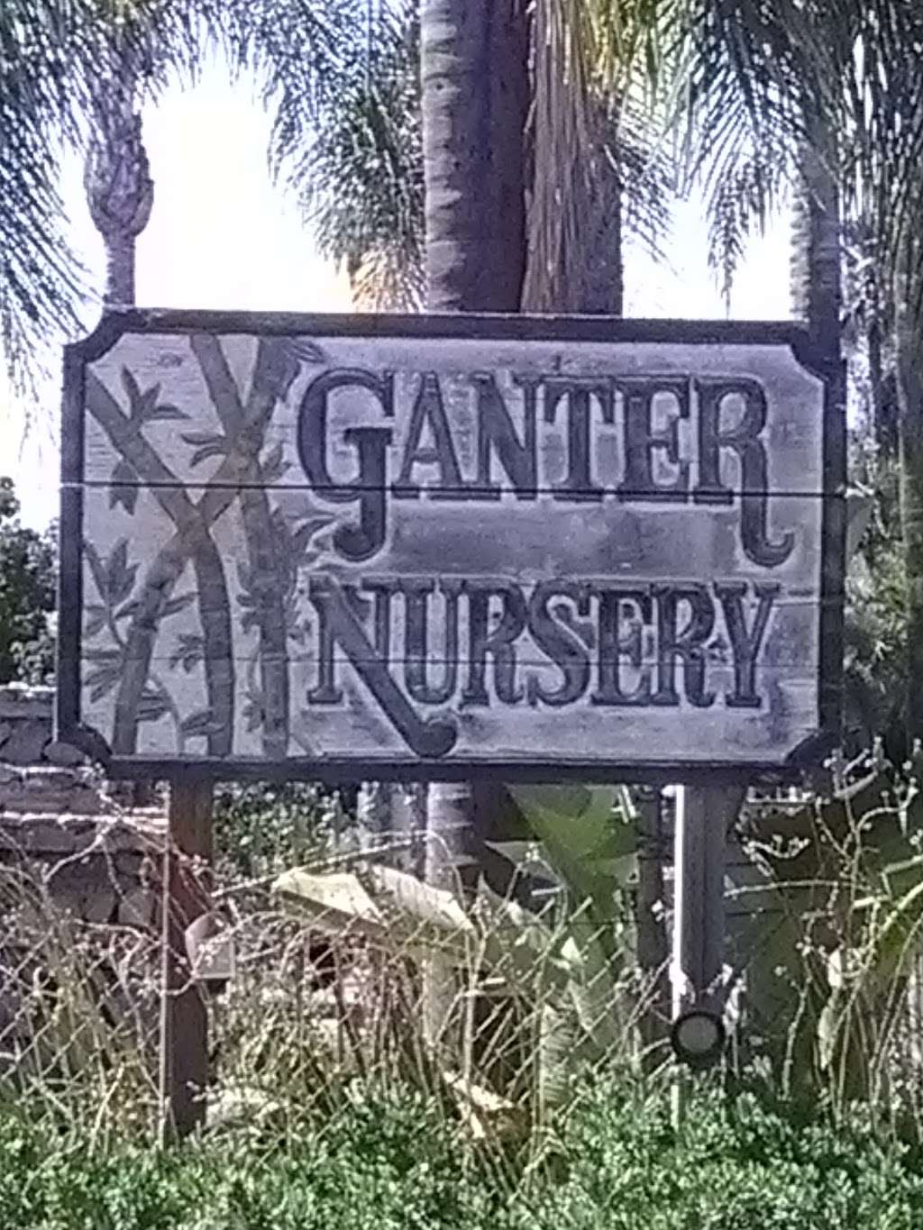 Ganter Nursery | 3016 Fruitland Dr, Vista, CA 92084, USA | Phone: (760) 758-8375