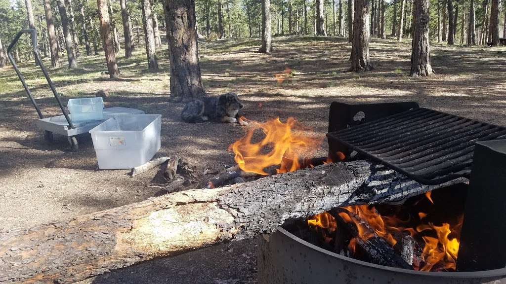 Meridian Campground | Bailey, CO 80421, USA