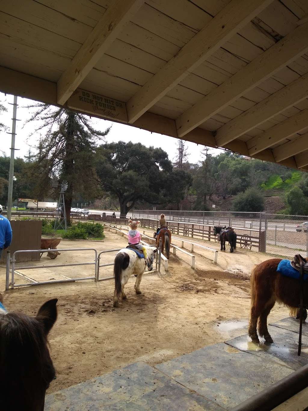 Griffith Park Pony Ride | 4400 Crystal Springs Dr, Los Angeles, CA 90027, USA | Phone: (323) 664-3266