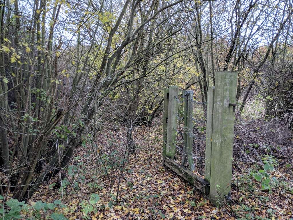 Noak Bridge Nature Reserve | Eastfield Rd, Basildon SS15 5GT, UK | Phone: 01268 562921