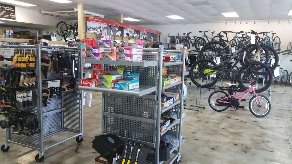 Davids World Cycle | 2125 Florida Ave S, Lakeland, FL 33803, USA | Phone: (863) 682-7160