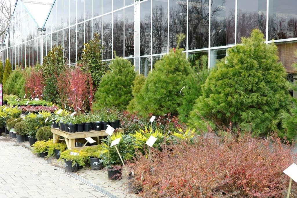 Patuxent Nursery | 2410 North Crain Highway, Bowie, MD 20716, USA | Phone: (301) 218-4769
