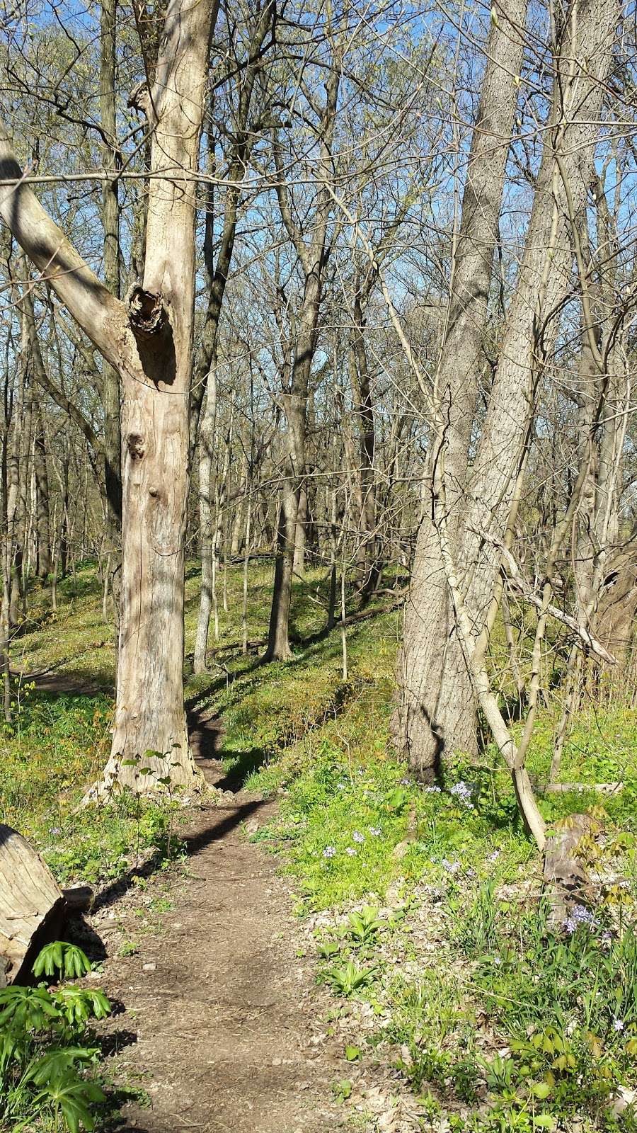 Johnsons Mound Forest Preserve | 41W600 Hughes Rd, Elburn, IL 60119, USA | Phone: (630) 232-5980