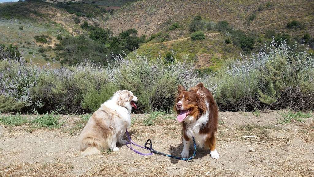 Arroyo Conejo Open Space | Thousand Oaks, CA 91360, USA