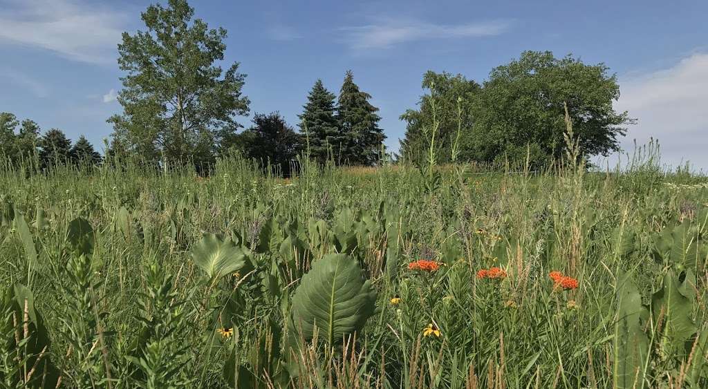 German Methodist Cemetery Prairie | 15210 Parrish Ave, Cedar Lake, IN 46303, USA