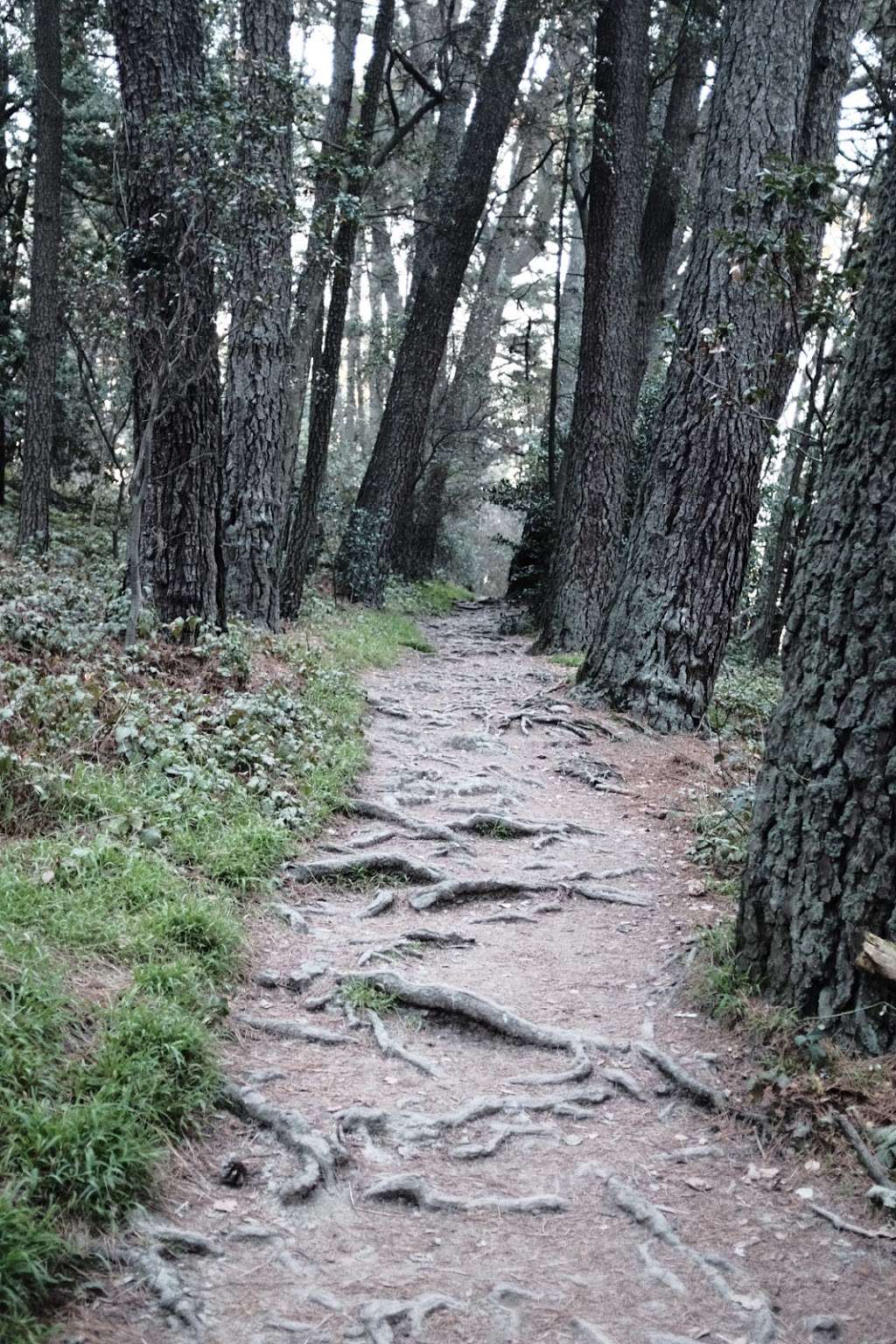 Sibley Volcanic Regional Preserve Labyrinth | Orinda, CA 94563