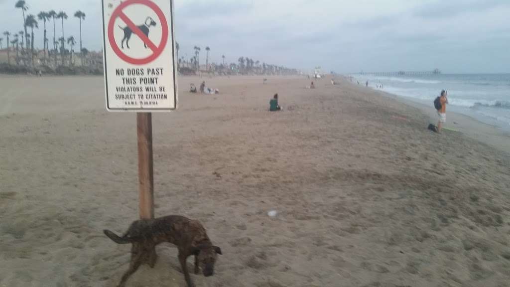 Dog Beach | Pacific Coast Highway, and, Goldenwest St, Huntington Beach, CA 92648, USA