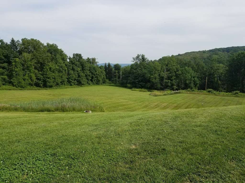 Beagle Bog | Stormville, NY 12582, USA