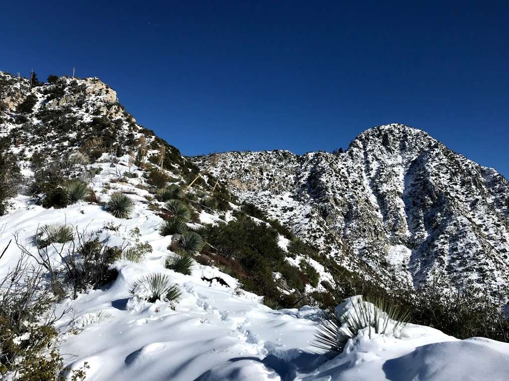 Strawberry peak west ridge trailhead | Colby Cyn Trail, Palmdale, CA 93550, USA