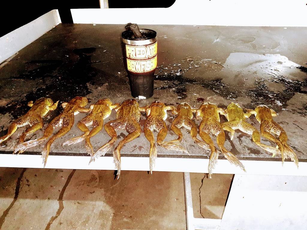 Predator bowfishing llc | 331 Jean Lafitte Blvd, Lafitte, LA 70067, USA | Phone: (504) 406-6535