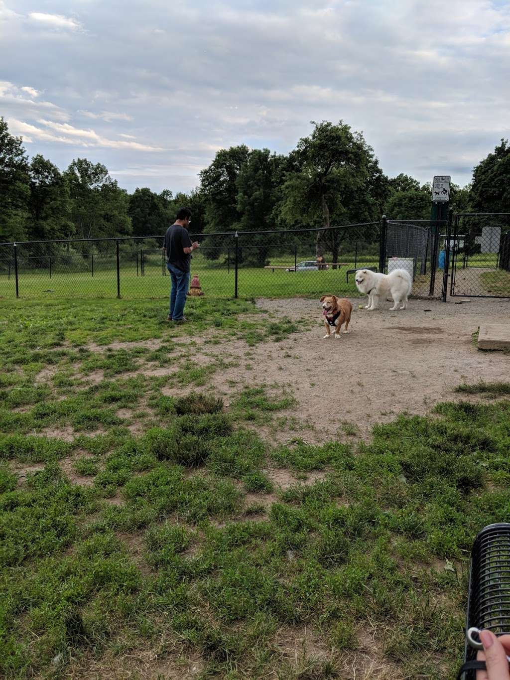 Cameron Dog Park | 129 S Beverwyck Rd, Parsippany, NJ 07054, USA