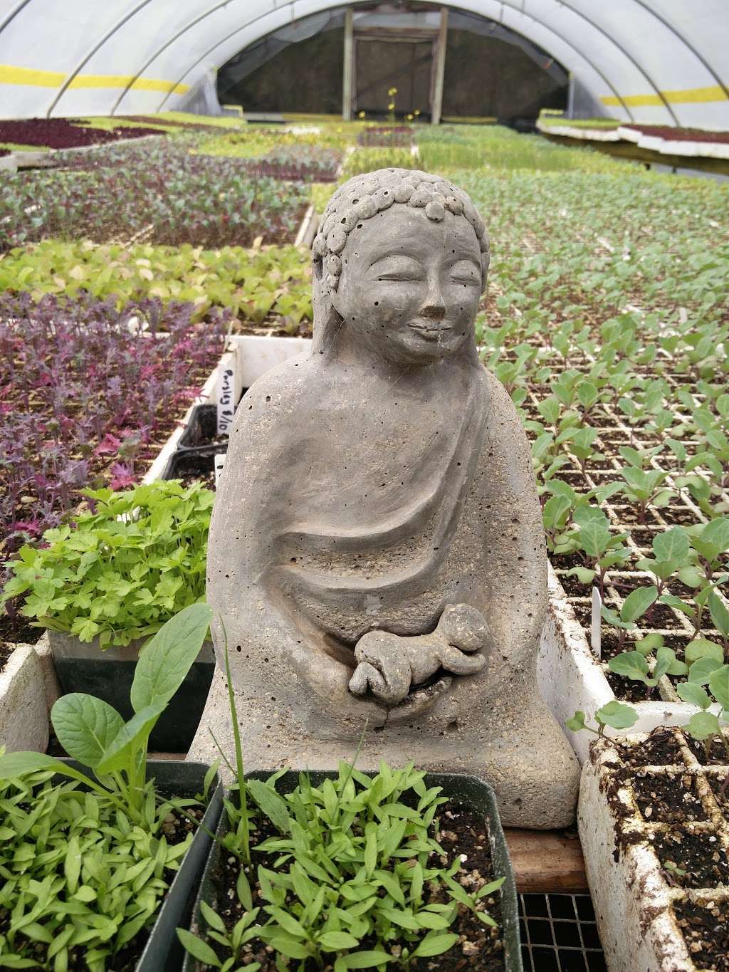 Green Gulch Farm Zen Center | 1601 Shoreline Hwy, Muir Beach, CA 94965, USA | Phone: (415) 383-3134