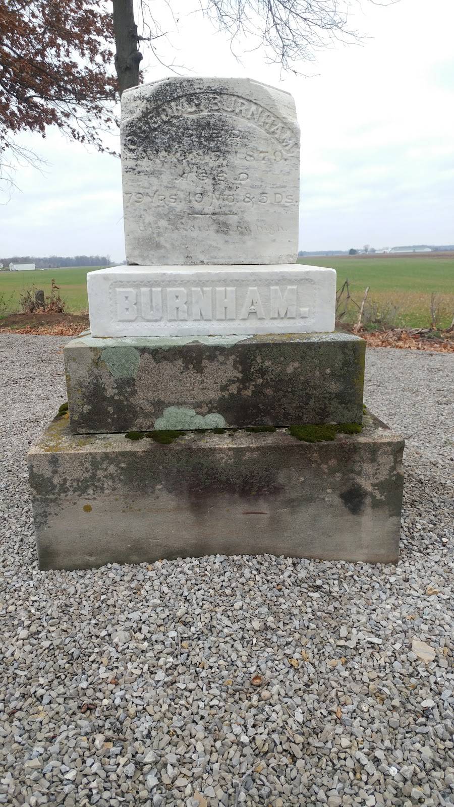 Burnham Cemetery | Taft Rd & Dowell Rd, Petersburg, MI 49270, USA | Phone: (734) 708-5007
