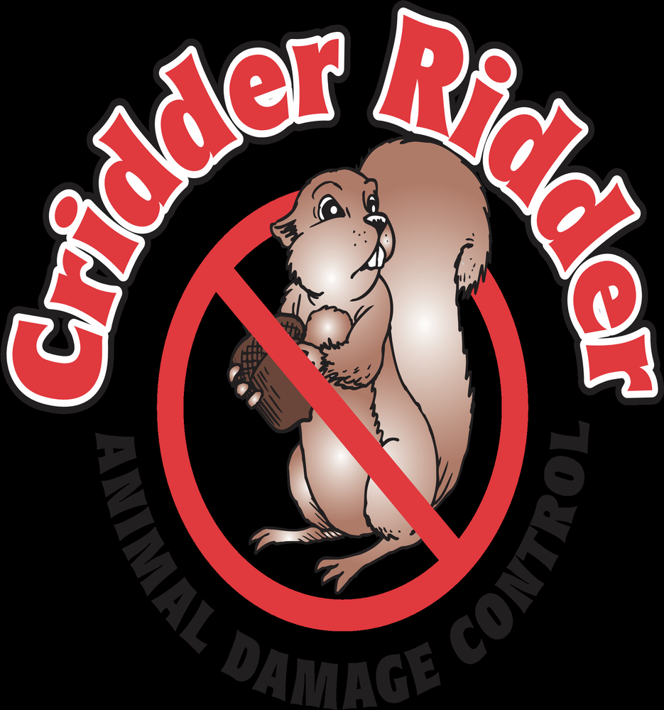 Cridder Ridder | 7275 W 162nd St #105, Overland Park, KS 66085, USA | Phone: (913) 851-2176