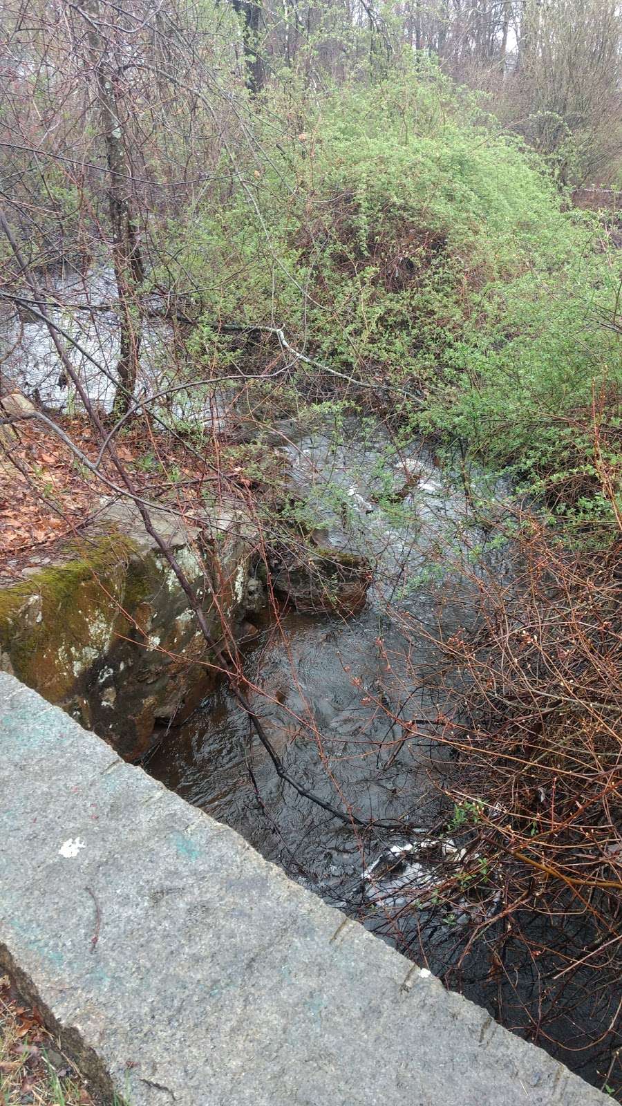 Hanover Branch Rail Trail | Monroe St, Abington, MA 02351, USA