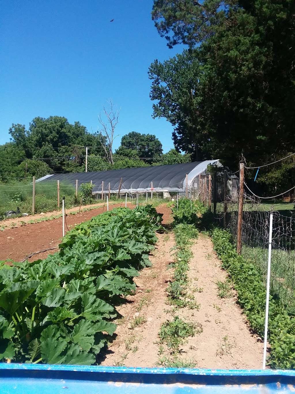 Blueberry Gardens Center for Yoga, Growth, and Healing | 3305, 237 Ashton Rd, Ashton, MD 20861, USA | Phone: (301) 570-5468