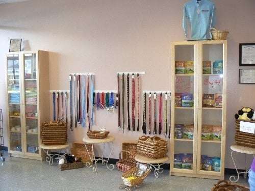 Dogs Gone Wild | Bristow Center, 10394 Bristow Center Dr, Bristow, VA 20136, USA | Phone: (571) 208-0114