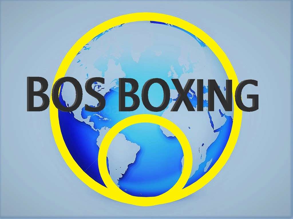 BOS BOXING | 12741 Darby Brook Ct Studio 201, Woodbridge, VA 22192, USA | Phone: (703) 881-1377